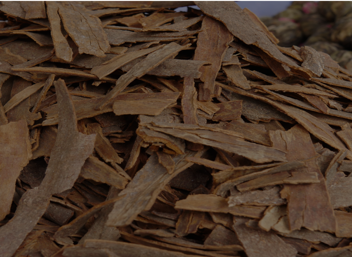 The Oud Indulgence Bundle - Limited Edition