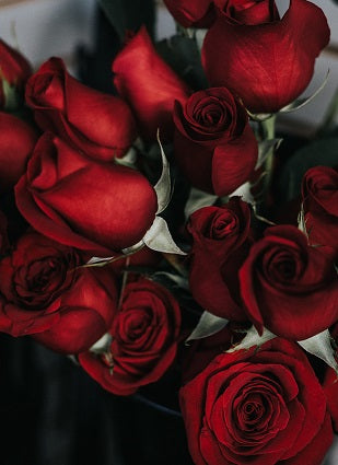 roses