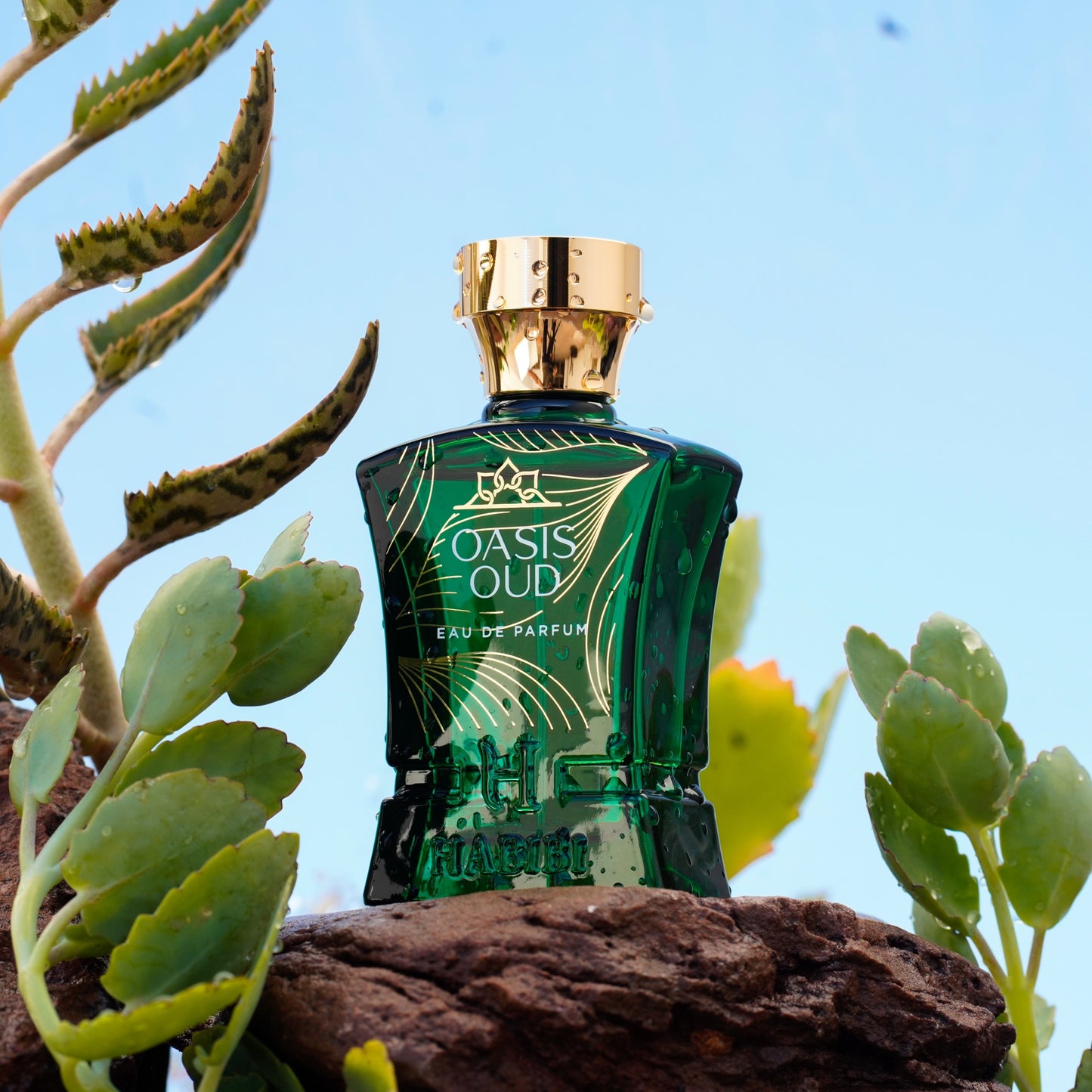 Oud Explorer Collection | Set of 3 Fragrances