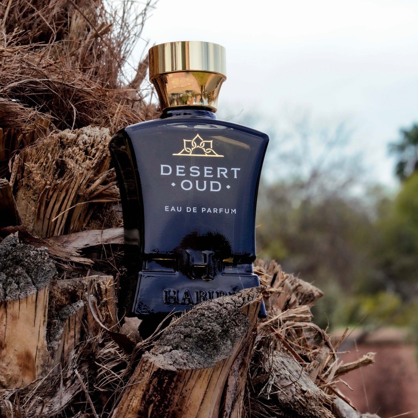 Oud Affair Set: His & Her