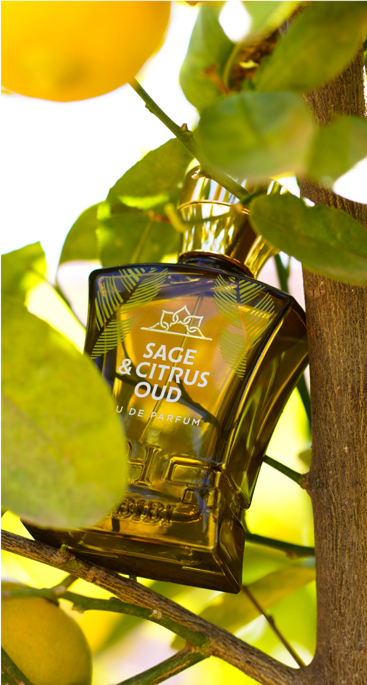 Sage & Citrus Oud