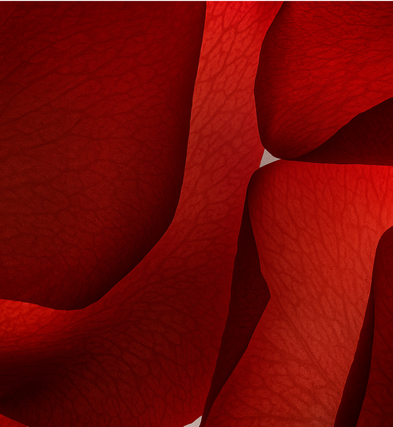 Sahara Rose 10ml (FC)