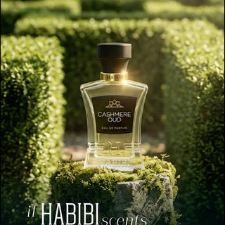 The Oud Collection