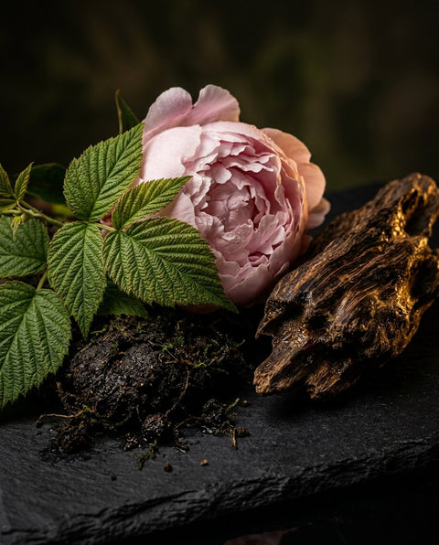 Oasis Oud ingredients