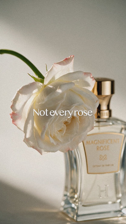 Magnificent Rose